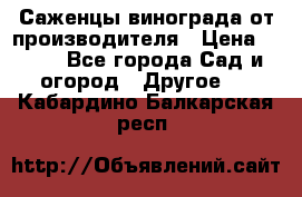 Саженцы винограда от производителя › Цена ­ 800 - Все города Сад и огород » Другое   . Кабардино-Балкарская респ.